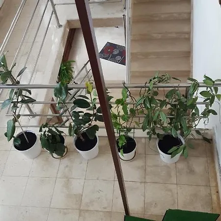 아파트 Oliver Ravlic