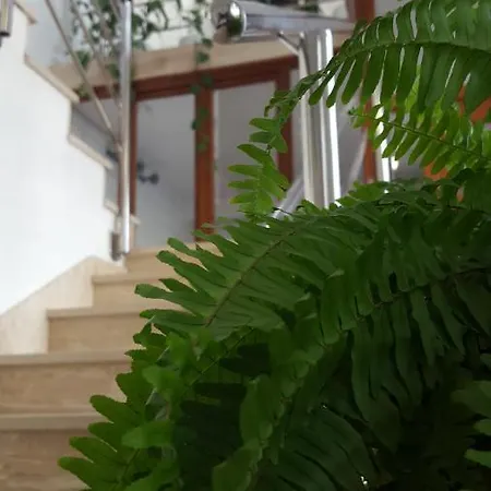 Appartement Oliver Ravlic *