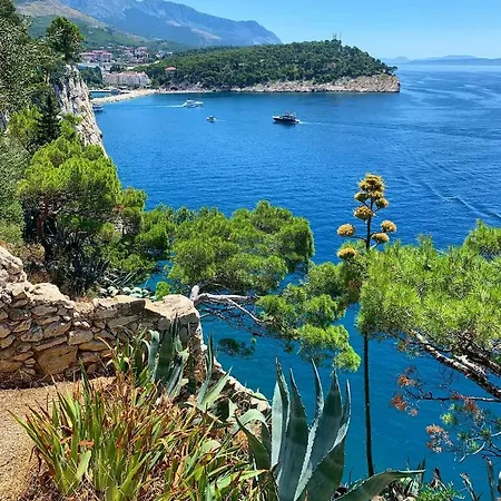 Oliver Ravlic 아파트