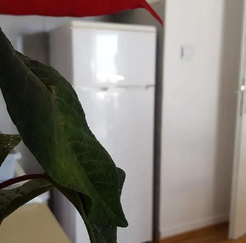 Oliver Ravlic Διαμέρισμα Μακάρσκα