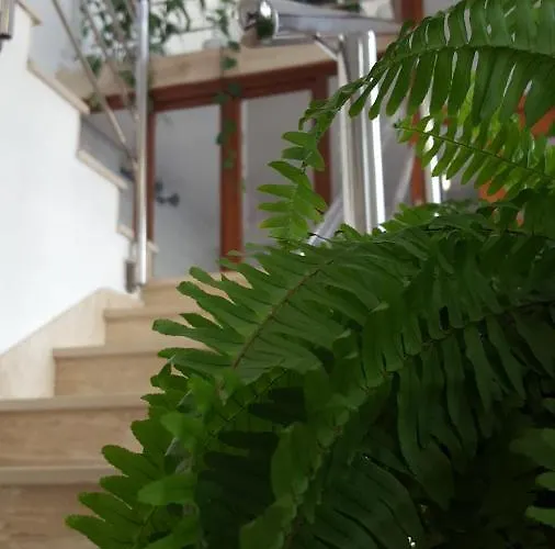 Διαμέρισμα Oliver Ravlic *